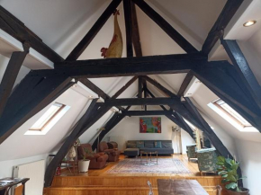 Spacious charming duplex at Brussels Center